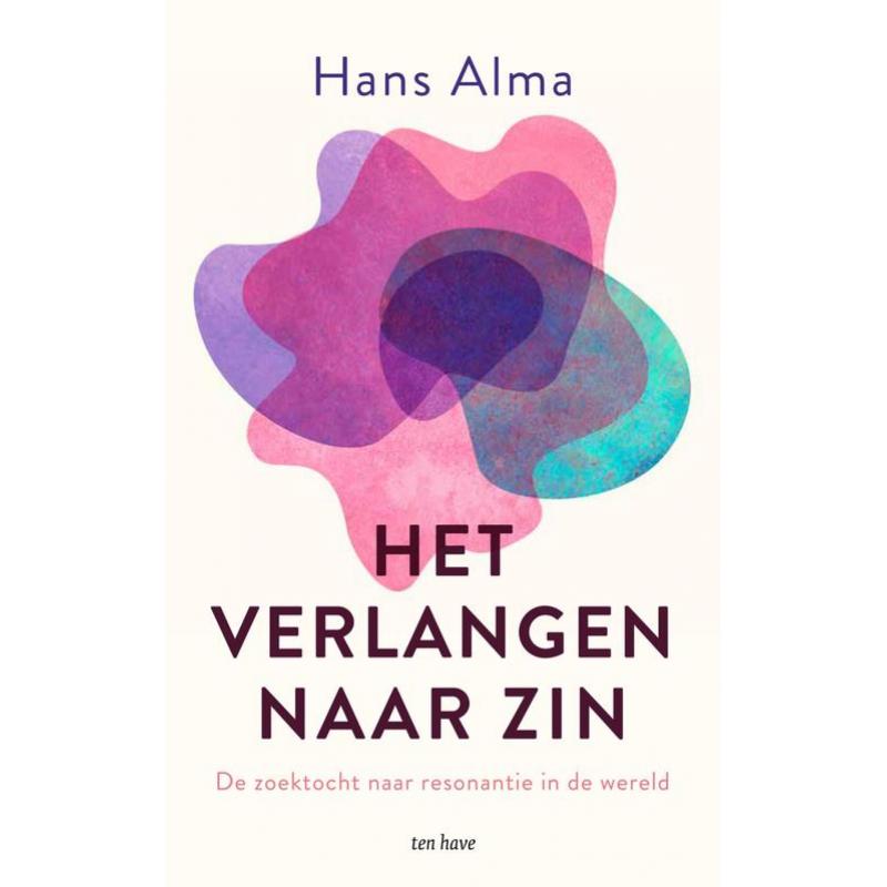 Het verlangen naar zin Hans Alma ebook