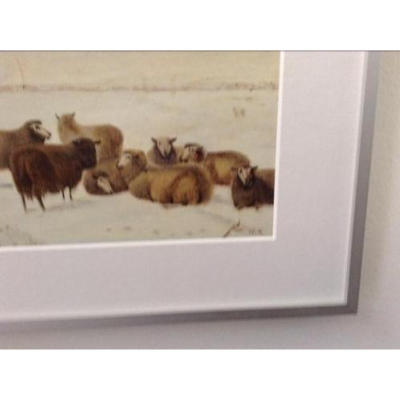 Schilderij : Schapen in de sneeuw in jaar 1863.