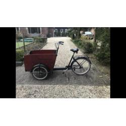 Babboe big bakfiets