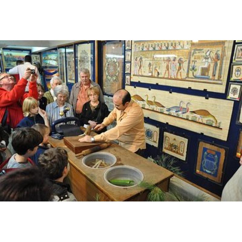 Save 20.02%! Papyrus Manufacturing Tour and Papyrus Making Demonstration