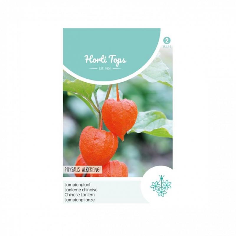 Horti Tops Physalis, Lampionplant